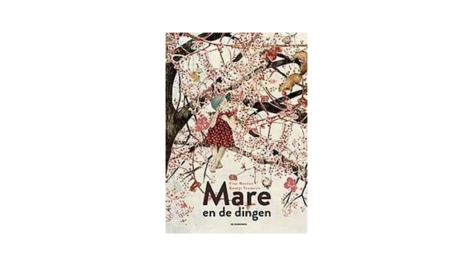 Boek Mare en de dingen
