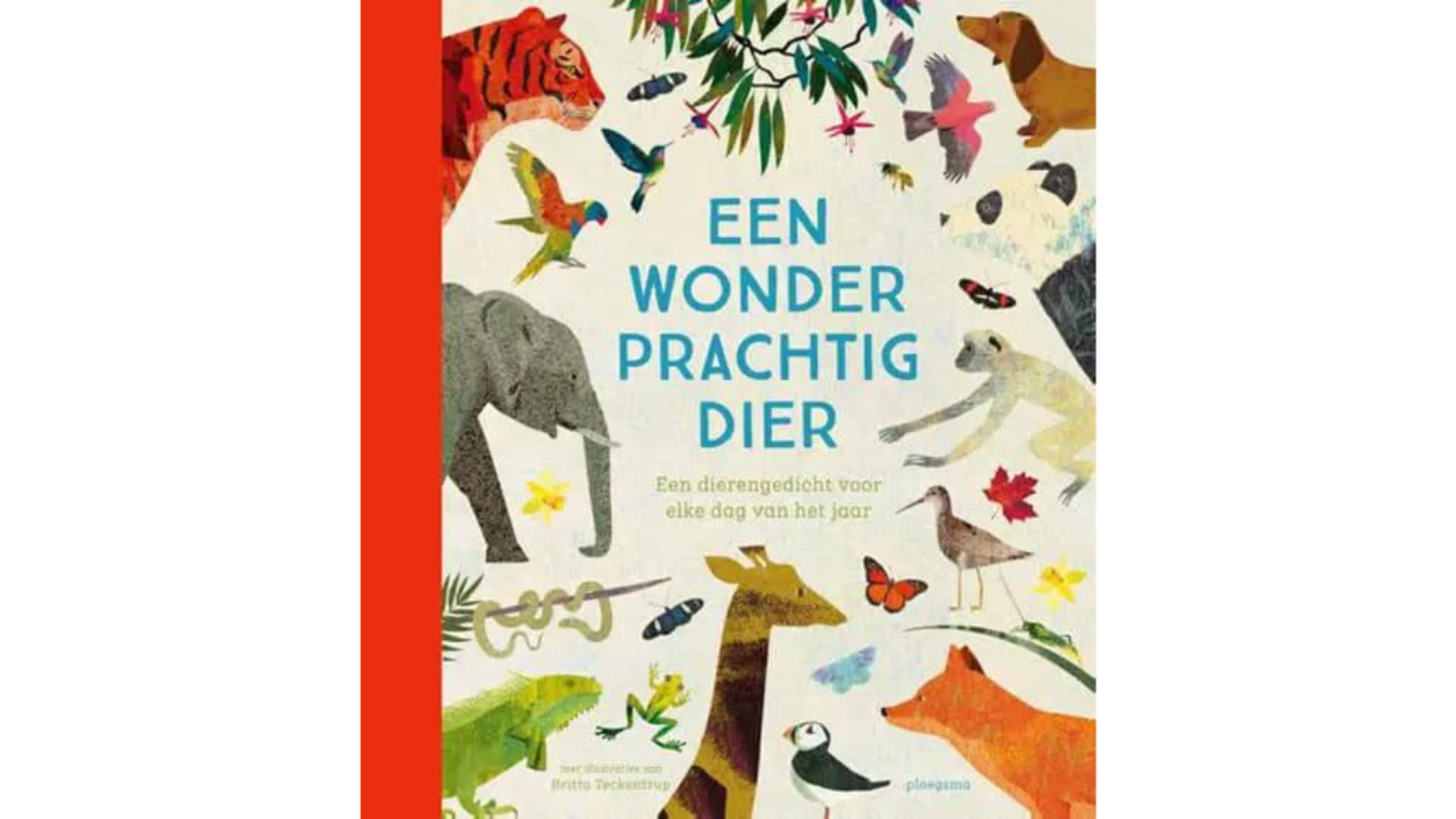 Geschenkboek: Een wonderprachtig dier