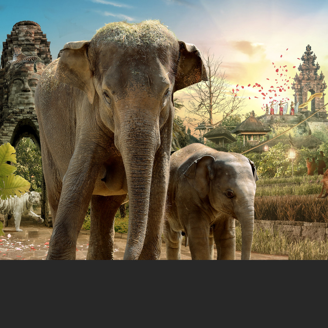 Pairi Daiza